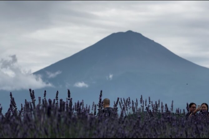 Private Sedan One-Day Mount Fuji Tour - Booking Information