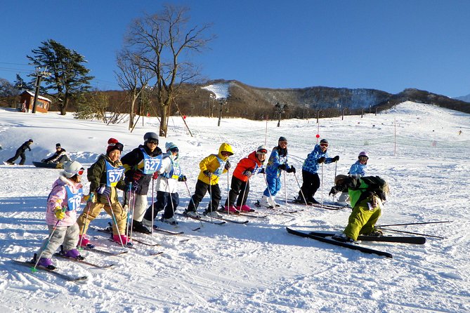 Private Ski Lesson for Family or Group(Transport Included ) - Cancellation Policy
