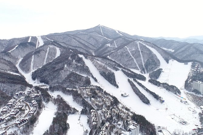 PRIVATE SKI TOUR in Pyeongchang Olympic Ski Resort(More Members Less Cost) - Cancellation Guidelines