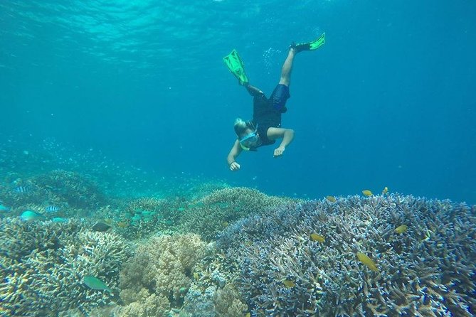 Private Snorkeling Trip (Depart Gili T),Gili Trawangan, Gili Meno, - Snorkeling Trip Experience
