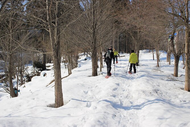 Private Snowshoeing Tour in Hida - Equipment Information