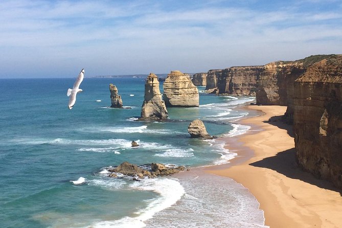 [PRIVATE TOUR] 12 Apostles Great Ocean Road Day Trip - Inclusions and Amenities