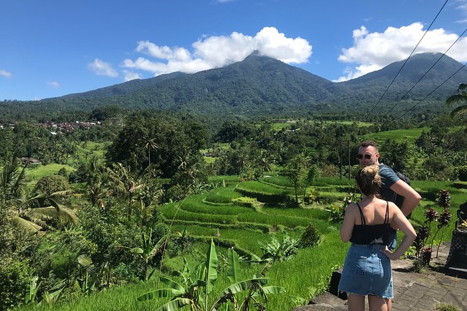 Private Tour: Bali Temple and Countryside Tour - Reviews Summary