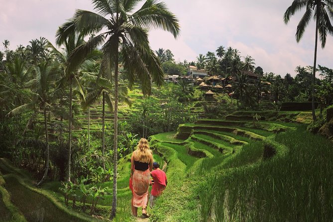 Private Tour: Balinese Culture and Scenery (Visit Ubud Area) - Pricing and Booking Details