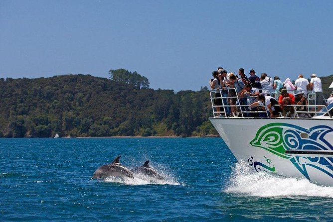 Private Tour: Bay of Islands Day Trip From Auckland - Booking Information