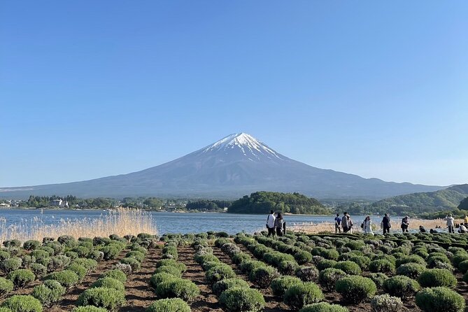 Private Tour in Mt Fuji and Hakone With English Speaking Driver - Exclusions