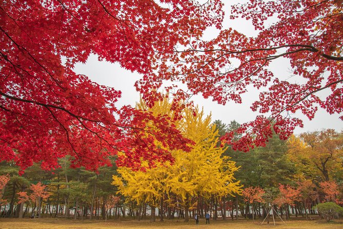 (Private Tour) Nami Island Railbike Garden of Morning Calm - Customer Reviews