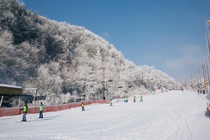 [Private Tour] Nami Island & Snow Viewing and Snow Sled (More Members Less Cost) - Inclusions and Flexibility