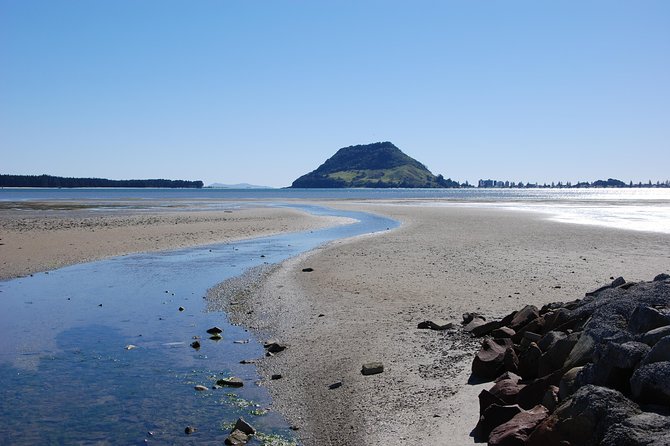 Private Tour Tauranga Highlights Shore Excursion up to 8 Passengers - Optional Extras and Add-Ons