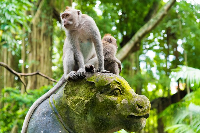 Private Tour: Ubud Highlights - Tour Highlights