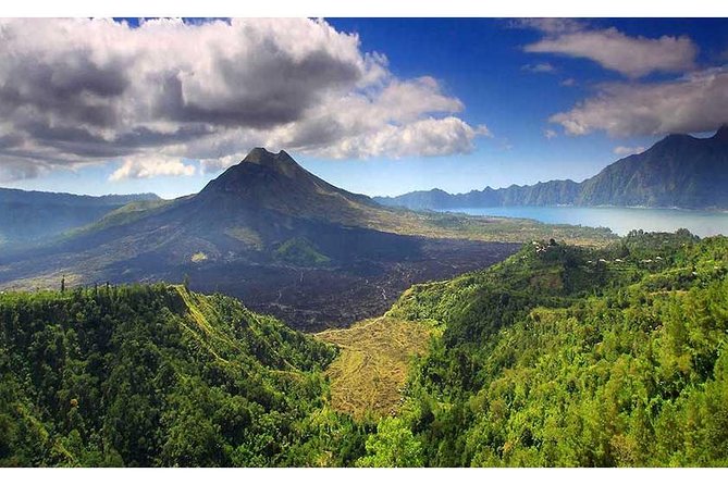 Private Tour:Kintamani Volcano Tour With Entrance Ticket & Hotel Transfer - Reviews and Ratings