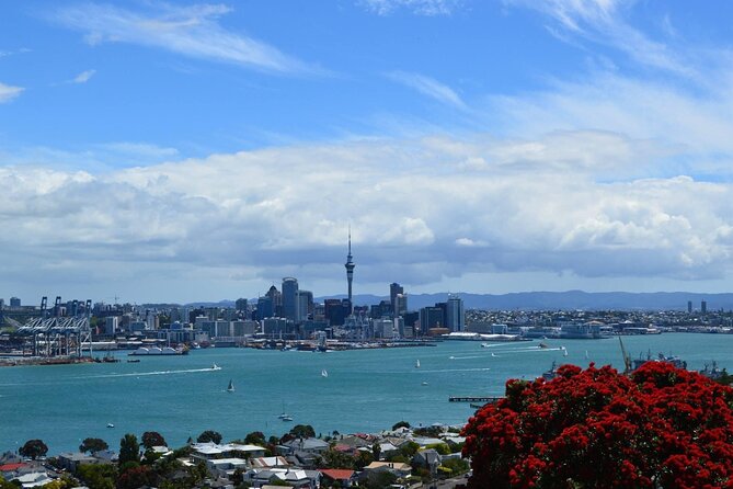 Private Transfer From Auckland Domestic Airport To Auckland City - Customer Reviews