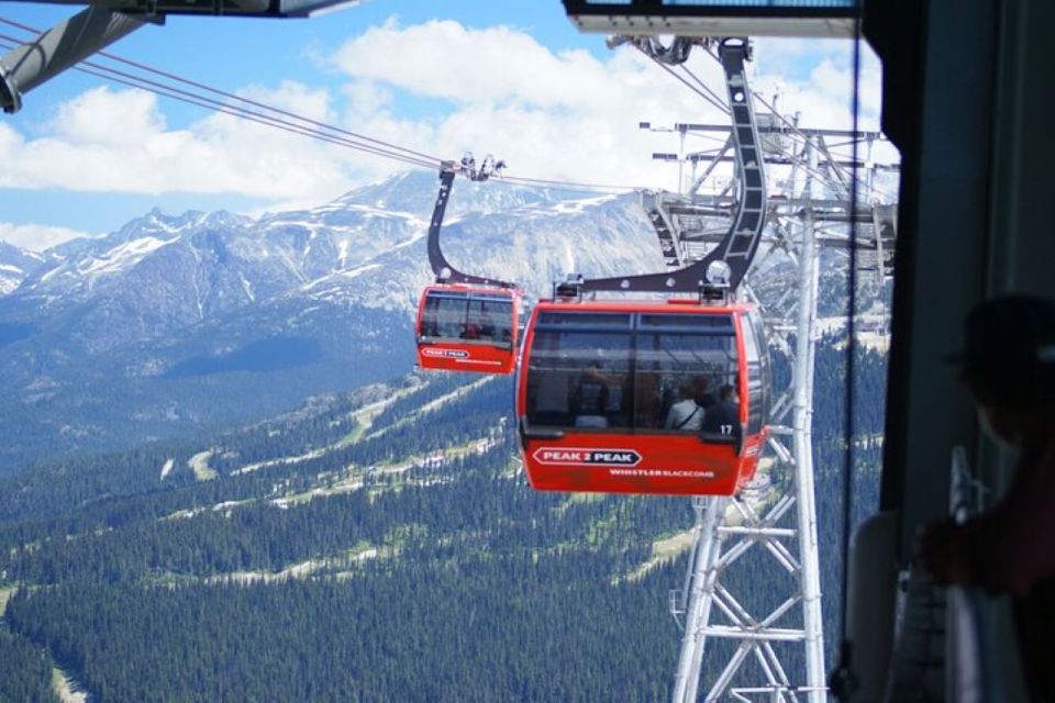 Private Transfer From Richmond BC to Whistler - Vehicle Options and Amenities