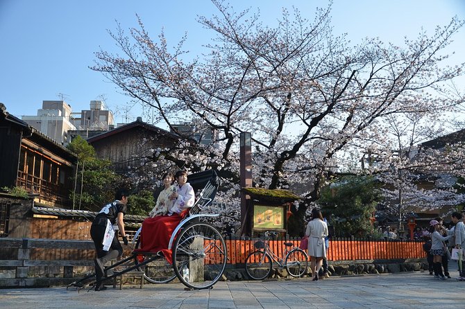 Private & Unique Kyoto Cherry Blossom "Sakura" Experience - Customer Reviews
