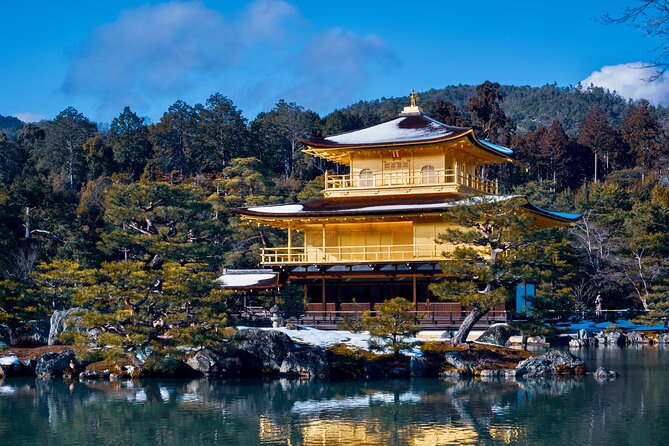 Private Van - Deep Kyoto & Arashiyama Tour (Full-English Guide) - Customer Reviews
