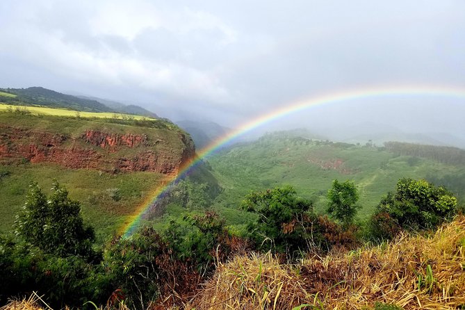 Private Waimea Canyon Tour - Photography Services