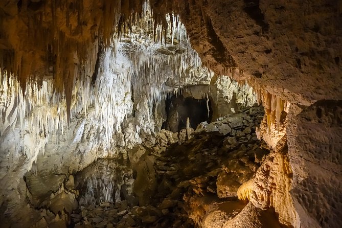Private Waitomo Caves Tour - Auckland Tour House - Pickup and Transportation Information
