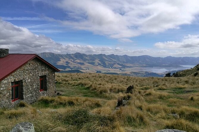 Private Walking Tour - Packhorse Hut From Christchurch - Start Time Information