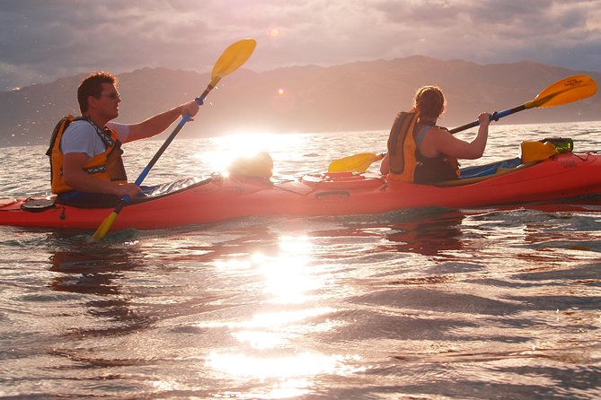 Private Wildlife Kayaking Tour - Kaikoura - Inclusions and Gear Provided