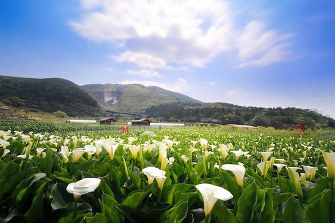 Private Yangmingshan & Beitou Tour From Taipei With Pickup - Experience Highlights