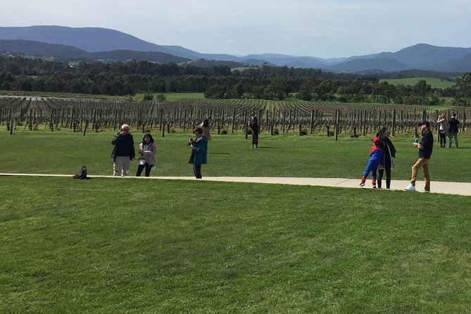 Private Yarra Valley Wine Tour - Itinerary Overview