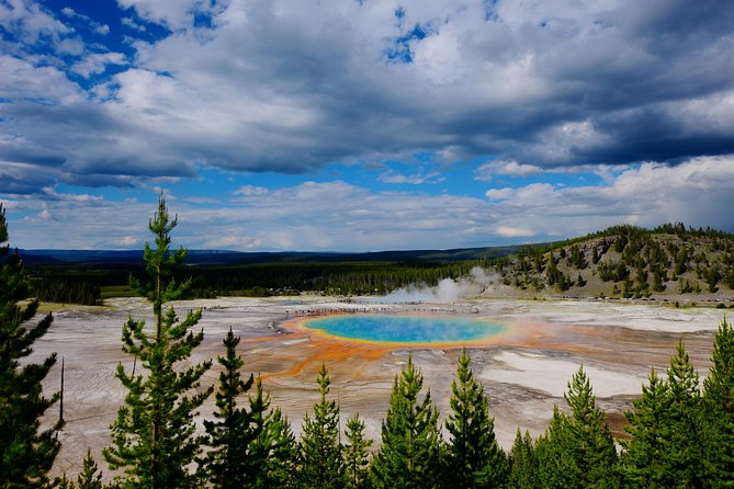 Private Yellowstone Tour: ICONIC Sites, Wildlife, Family Friendly Hikes Lunch - Customized Itinerary and Flexibility