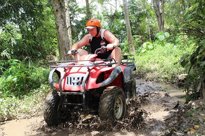 Quad Bike Ride and Snorkeling at Blue Lagoon Beach All-inclusive - Activities and Sightings