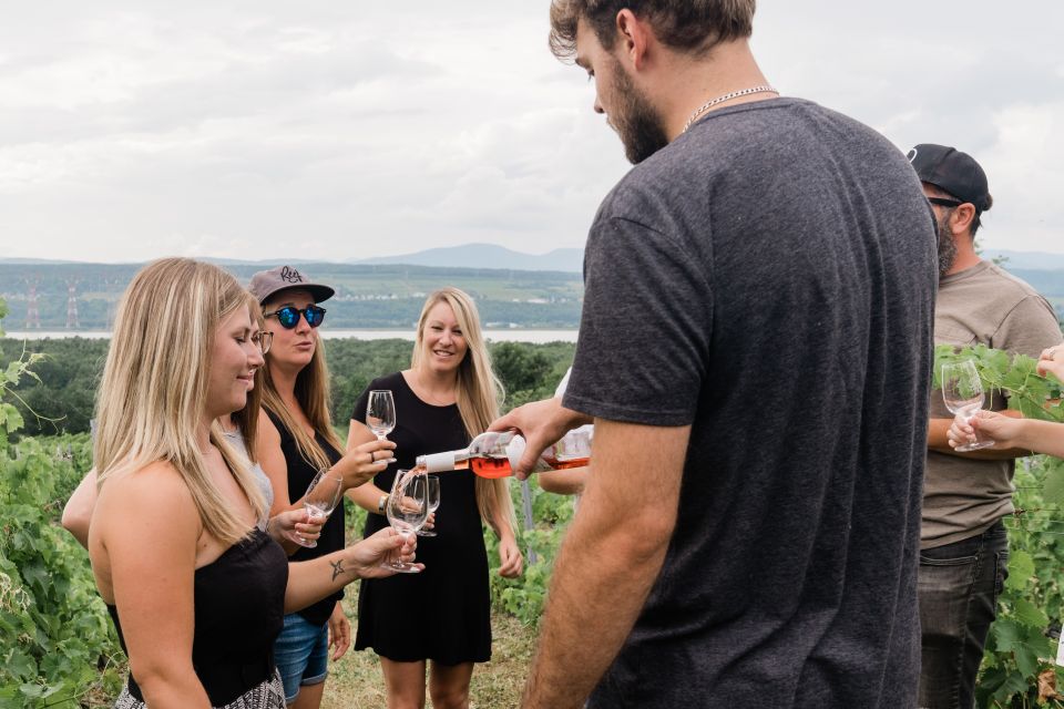 Quebec City: Island of Orleans Wine Tour - Experience Highlights