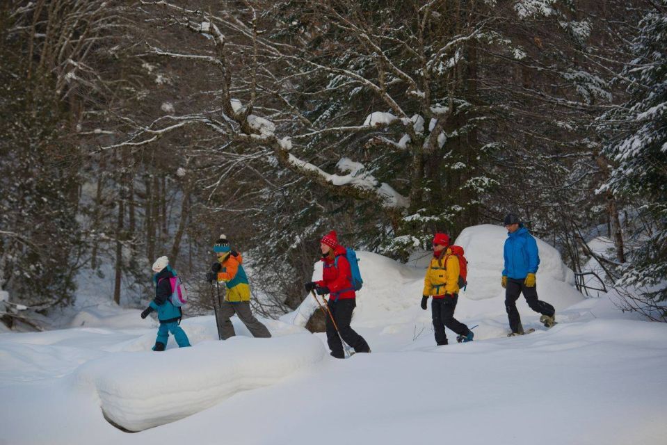 Quebec City: Jacques-Cartier National Park Snowshoeing Tour - Meeting Point