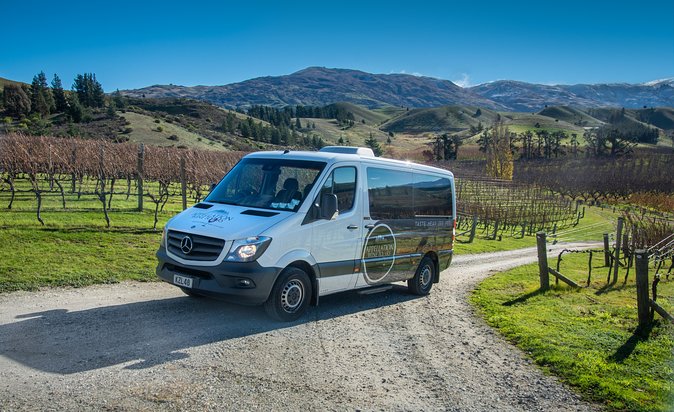 Queenstown Classic Wine Tour: 3 Vineyards, Caves and Cheeseboard - Customer Reviews