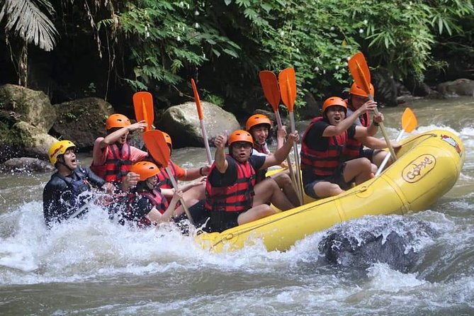 Rafting Swing Monkey Forest And Waterfall Tour All Inclusive - Exclusions
