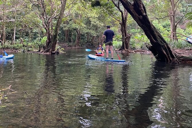 Rainforest Drift - FreshWater Rainforest - Activities and Wildlife Spotting