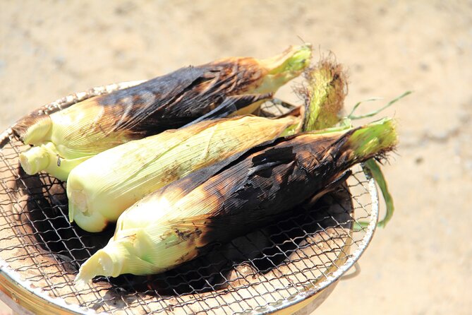 Real Farm-to-Table Vegetable Harvesting Experience - Harvesting Vegetables Experience