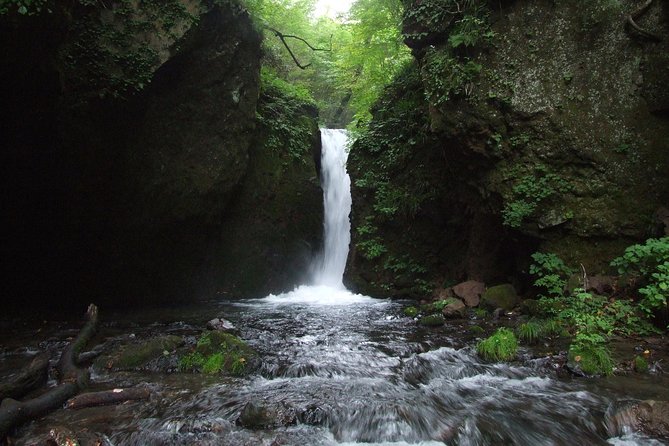 Relax and Refresh in Karuizawa Forest! Shinanoji Down Trekking Around Two People - Cancellation Policy Details