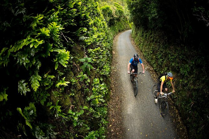 Remutaka Rail Trail Ebike Explorer Cycle Tour - Inclusions and Services