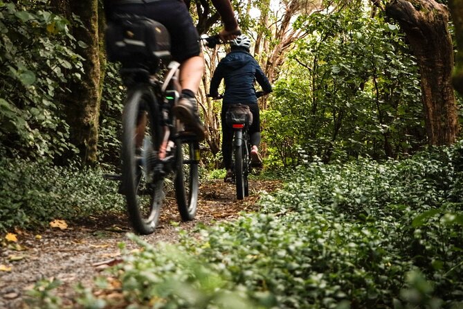 Remutaka Rail Trail Mountain Bike Explorer Cycle Tour - Trail Difficulty and Scenery