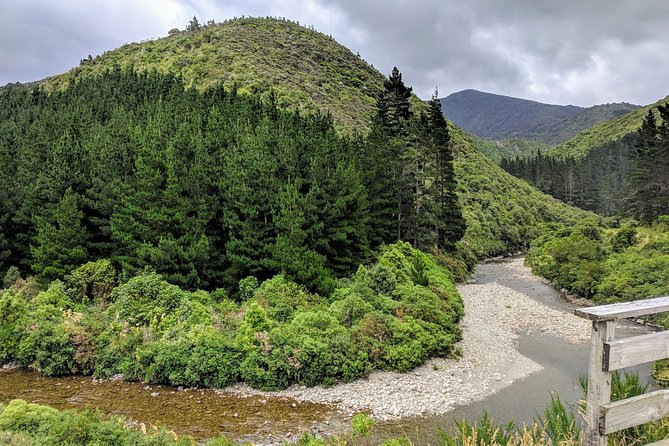 Remutaka Rail Trail Mountain Bike Explorer Cycle Tour - Inclusions and Exclusions