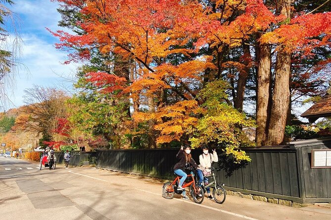 Rental Bicycle With Electric Assist / Satoyama Cycling Tour - Rental Options