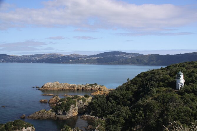Return Ferry Trip to MāTiu/Somes Island - Ferry Ticket Prices and Booking