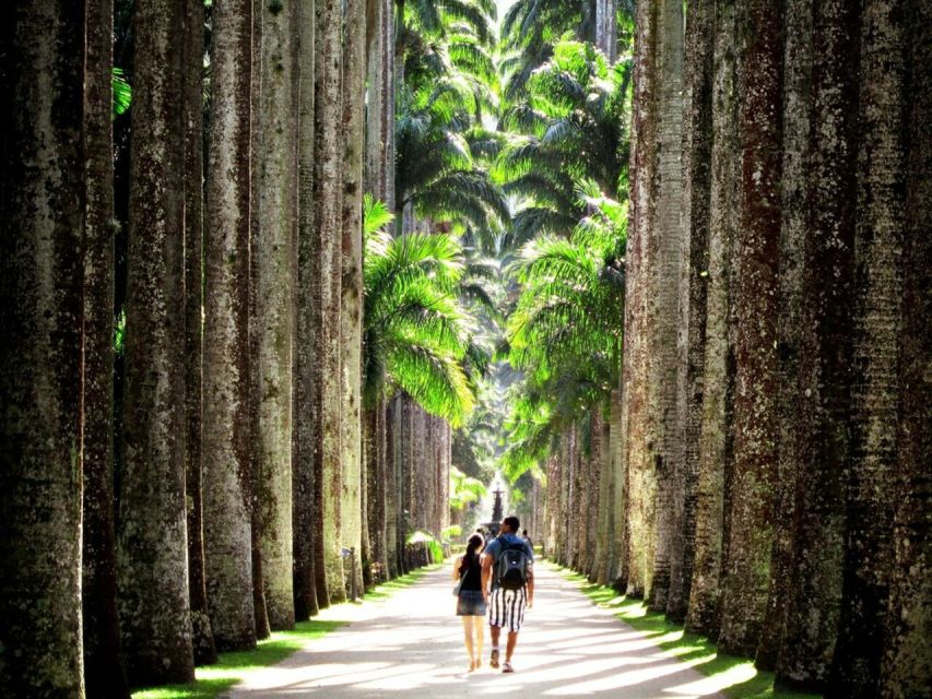 Rio De Janeiro: Botanical Garden Guided Tour & Parque Lage - Experience Highlights and Inclusions