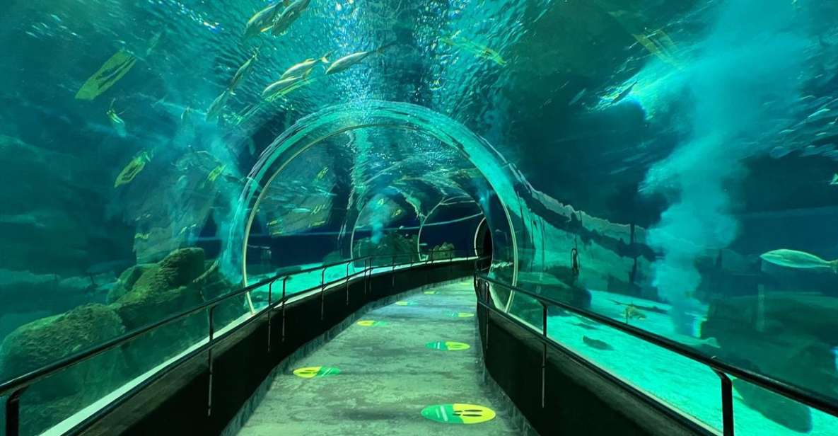 Rio De Janeiro: Marine Aquarium Entry Tickets - Free Cancellation & Reservation