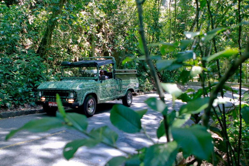 Rio: Jeep Tour to Botanical Garden and Tijuca Forest - Booking Information