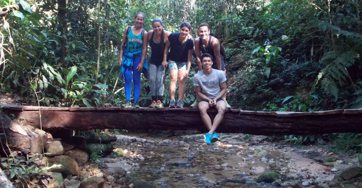 Rio: Tijuca Forest Historical Hike & Cachoeira Das Almas - Experience Highlights