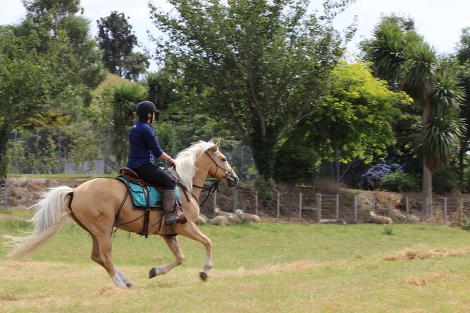 River Valley Stables - Burn The Breeze, Half Day Horse Ride For Riders - Natural Horsemanship Techniques