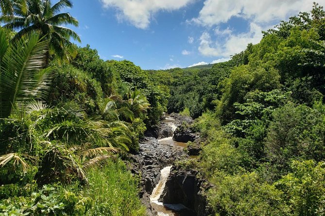 Road to Hana Adventure in Maui- Private - Just for Your Group - Diverse Exploration Opportunities