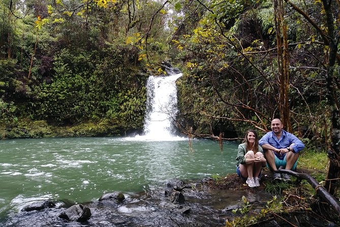 Road To Hana: Maui Waterfall Hiking Tour in Private Jeep - Unique Experiences and Highlights