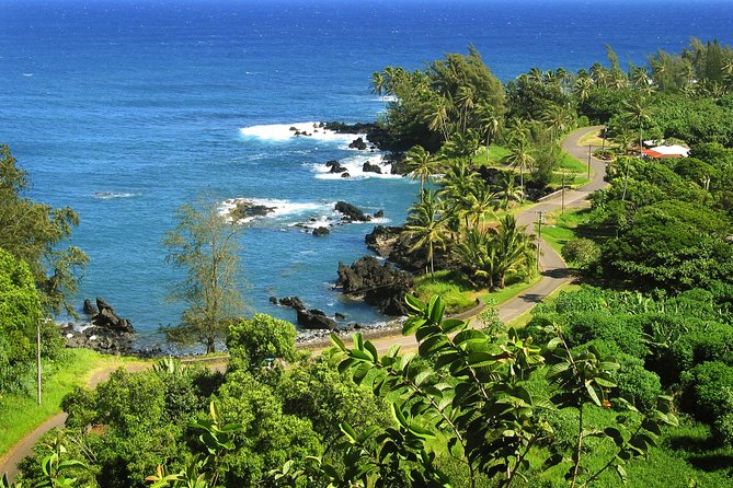 Road to Hana Tour With Lunch and Pickup - Reviews