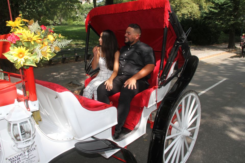 Romantic/Proposal Central Park Carriage Tour Up to 4 Adults - Customer Reviews