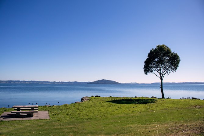 Rotorua Duck Boat Guided City and Lakes Tour - Booking Information