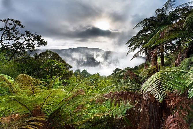 Rotorua Eco Cultural Full Day Tour (Wai O Tapu, Waimangu,Te Puia) - Itinerary Highlights